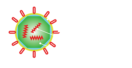 Aufbau eines Virus